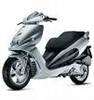 F 12 Max 250cc 4t