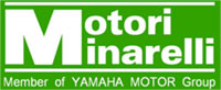 Motori Minarelli
