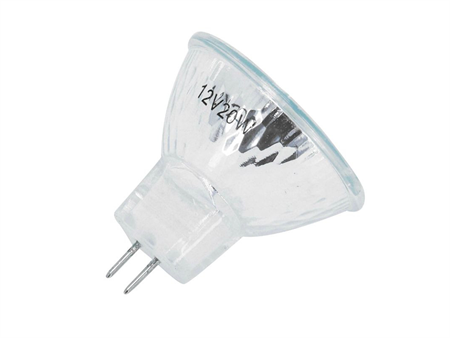 Birne halogen 12V 20W klein