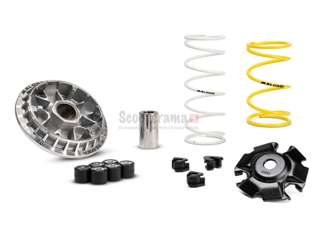 Variateur Malossi Multivar 2000 Honda Forza 350 21 ->, SH 350 21 -> Euro 5
