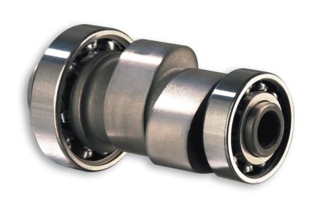 Arbres à cames de compétition Malossi MHR 250-300 4T Arbres à cames de compétition Malossi MHR 250-300 4T