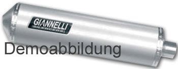 Endschalldampfer GIANNELLI Titanium, BMW C 600cc Sport