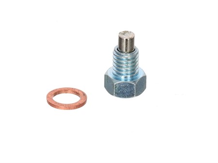 Ölablassschraube mit Magnet, E50-Motor (M8x1.25) Ölablassschraube mit Magnet, E50-Motor (M8x1.25)