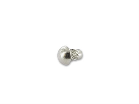 Vis pour plaque d'immatriculation Ø2.49x3.17mm, inox Vis pour plaque d'immatriculation Ø2.49x3.17mm, inox