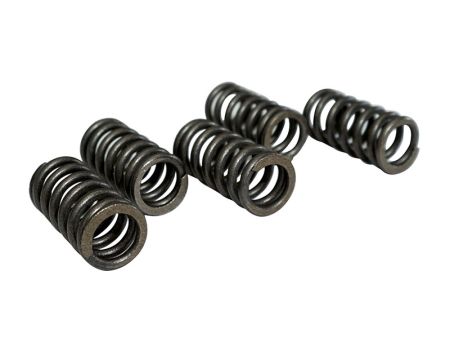 Rennkupplungsfedern ARTEK K2, Derbi und AM6 Motoren Rennkupplungsfedern ARTEK K2, Derbi und AM6 Motoren
