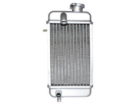 Kühler Rieju 50cc - RMX, SMS, RR, Spike Kühler Rieju 50cc - RMX, SMS, RR, Spike