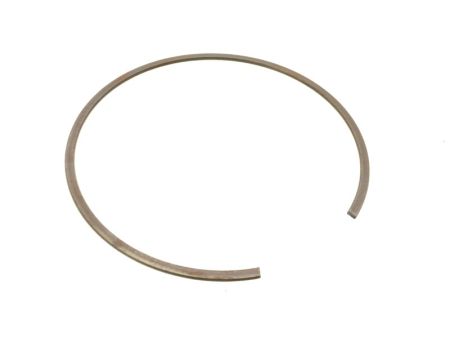 Sicherungsring Druckplatte Franco Morini T1/T5/M1