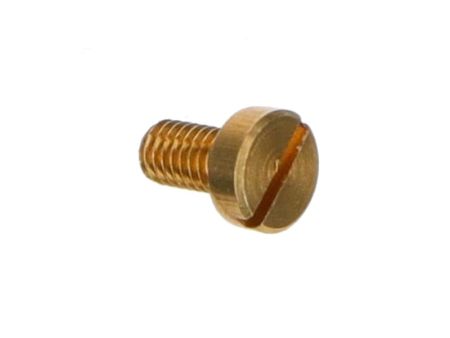 Schraube M 2.5 x 5 gedreht (Rahmenschutz Tigra) Schraube M 2.5 x 5 gedreht (Rahmenschutz Tigra)