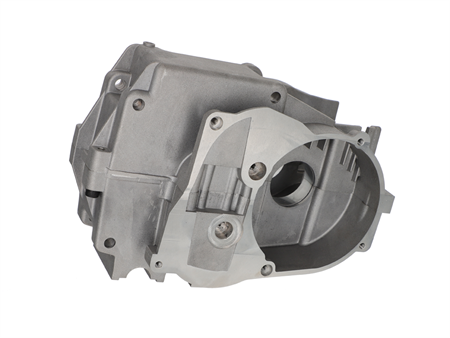 Carter moteur AKOA standard 4 roulements (version Kickstarter), Puch Maxi E50