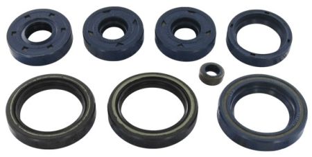 Simmerringsatz Rotax Motor 123 Jg. 1988-1995 Simmerringsatz Rotax Motor 123 Jg. 1988-1995