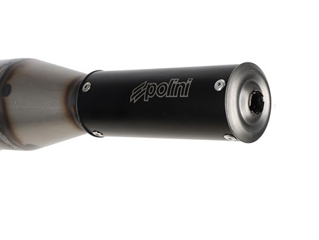 Auspuff Polini FOR RACE Puch Maxi