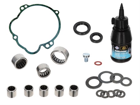 Revisionsset Piaggio Vario Getriebe (1A-Qualität)