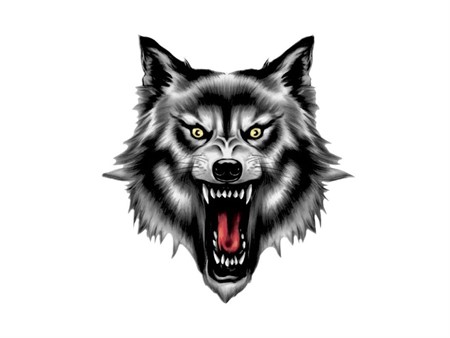 Autocollant stickers Wolf Head 60x80mm