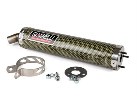 Schalldämpfer Giannelli Honda NSR 125cc 2T street Carbon kevlar