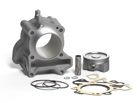 Cylindre de course MALOSSI 183 cc pour Vespa GTS / GTS Super 125-150 cc Cylindre de course MALOSSI 183 cc pour Vespa GTS / GTS Super 125-150 cc