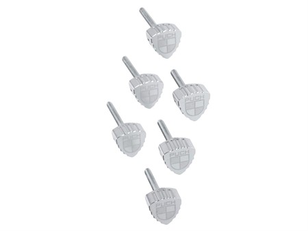 Seitenschutzschrauben Set Puch Maxi S CNC Chrom mit Logo