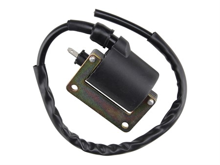 Zündspule RMS für Scooter Aprilia/Gilera/Italjet/Piaggio/Vespa 50 - 180cc 2T