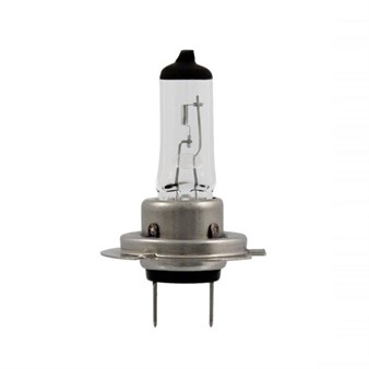 Glühlampe weiss H7 12V 55W