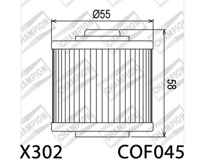 Filtre à huile Champion COF045 / X302