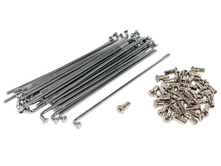 Rayons avec tendeur 3.0x151 10° chrom 36pcs Kreidler Florett RS Rayons avec tendeur 3.0x151 10° chrom 36pcs Kreidler Florett RS