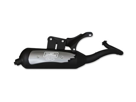 Auspuff Giannelli Go Piaggio ET2 Vespa LX 50 2T. Auspuff Giannelli Go Piaggio ET2 Vespa LX 50 2T.