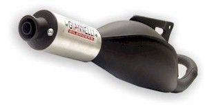 Auspuff Giannelli Sprint Peugeot Elyseo 100cc Enddämpfer alu