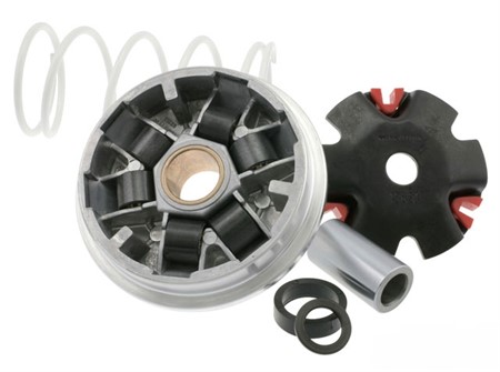 Variator Malossi Multivar Suzuki Katana (ab 99), Aprilia Habana, Gegendruckfeder: weiss, Gewichte: 16x13mm - 8,00gr