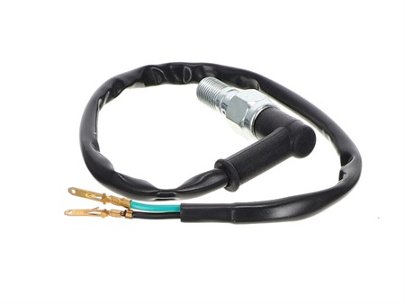 Vis pour durite de frein banjo (M10x1.00mm) avec interrupteur et câbles Vis pour durite de frein banjo (M10x1.00mm) avec interrupteur et câbles