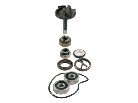 Kit de révision de pompe à eau, scooter Piaggio Beverly 250cc 04/05 Kit de révision de pompe à eau, scooter Piaggio Beverly 250cc 04/05