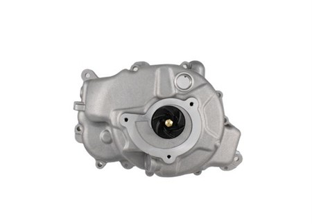 Couvercle pompe à eau, pompe à eau incl. Piaggio 250cc/300cc