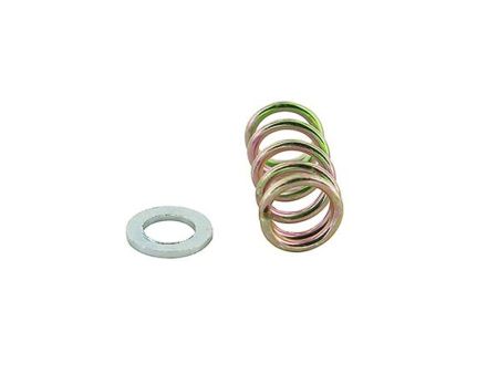 Ressort et rondelle pour vis de ralentit Mikuni TM24