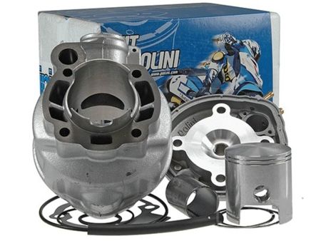 Zylinderkit Polini Grauguss, Ø=50mm, Minarelli AM Zylinderkit Polini Grauguss, Ø=50mm, Minarelli AM