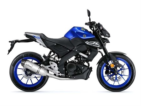 Pot déchappement Yamaha MT-125 / YZF-R125 LV ONE EVO Inox CH+KAT - Full System - Endcap Carbon