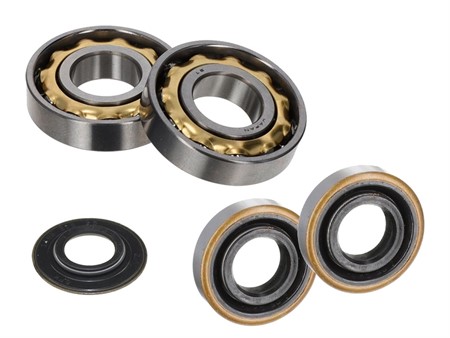 Kit roulement et simmer moteur, E15 moteur SACHS 502 AML Kit roulement et simmer moteur, E15 moteur SACHS 502 AML