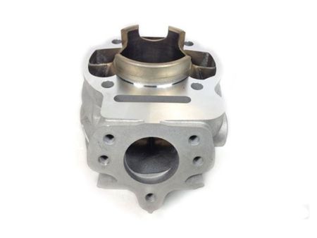 Zylinderkit 2Fast 70cc, Derbi D50B0 Euro 3-4 ab Bj '06