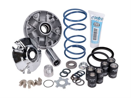 Variator Polini Hi-Speed Evolution 2 d.16mm - 12,5°, Piaggio