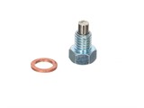 Ölablassschraube mit Magnet, E50-Motor (M8x1.25) Ölablassschraube mit Magnet, E50-Motor (M8x1.25)