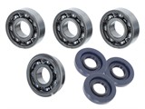 Revisionsset Puch E50 Motor «neues Modell» Lager / Simmerringe Revisionsset Puch E50 Motor «neues Modell» Lager / Simmerringe