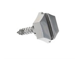 Seitenschutzschraube Chrom, Pony GTX 503/Cilo 521/KTM GP40
