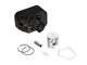 Kit Polini 65cc fonte, Ø43mm, Axe de piston 12mm Piaggio