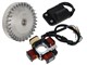 Allumage électronique complet (volant rotor 1300gr, bobine cdi), vélomoteurs Piaggio Ciao / SI PTT/ Bravo