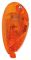 Blinker hinten links lorange CE