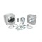 Zylinderkit Malossi 172cc, Ø 65mm Alu, Aprilia / Piaggio 125-150-180cc 2T