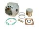 Kit MALOSSI alu 55mm, PEUGEOT 100cc 2T