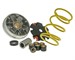 Variateur MALOSSI Multivar 2000, MBK Flame / Yamaha Cygnus 125cc 4T