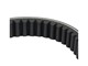 Courroie Bando 887 x 25mm, Scooter Yamaha N-Max 125 (2015 à 2020) / MBK Ocito 125 (2015 à 2019).