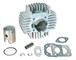 Kit Malossi 42mm Alu avec culasse 42mm Puch