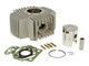 Malossi 42mm Alu Puch Zylinder-Kit
