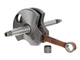 Vilebrequin Jasil moteurs Sachs 503 AB-CH / ABL CH