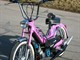 Porte-bagages ( central ) Chrom Puch Maxi S